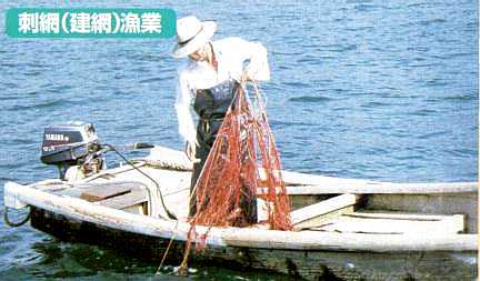 刺網(建網)漁業